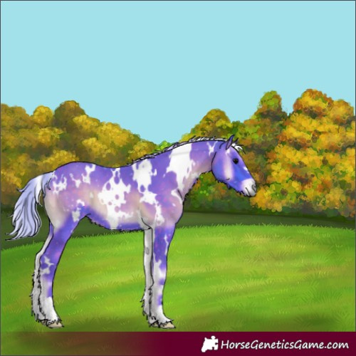 Horse Color:Watercolor White Spotted Chocolate Silver Brown Onyx 
