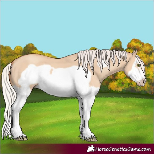 Horse Color:Silver Classic Champagne Dun Splash Frame