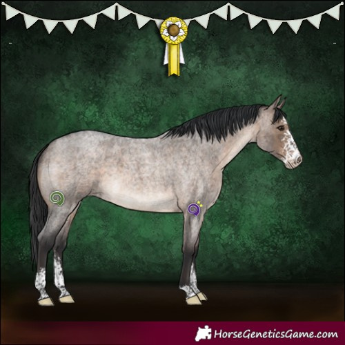 Horse Color:Brown Roan Dun Sabino Brindle