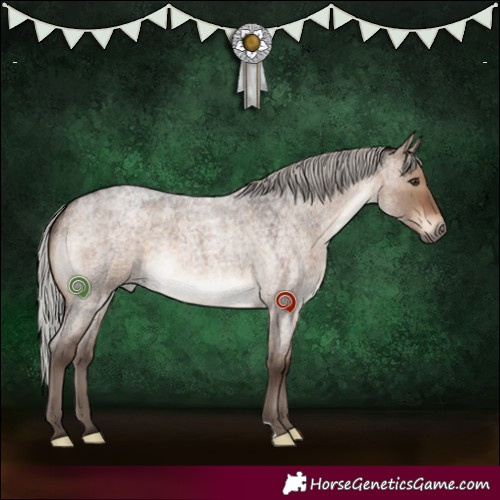 Horse Color:Silver Brown Roan Dun 