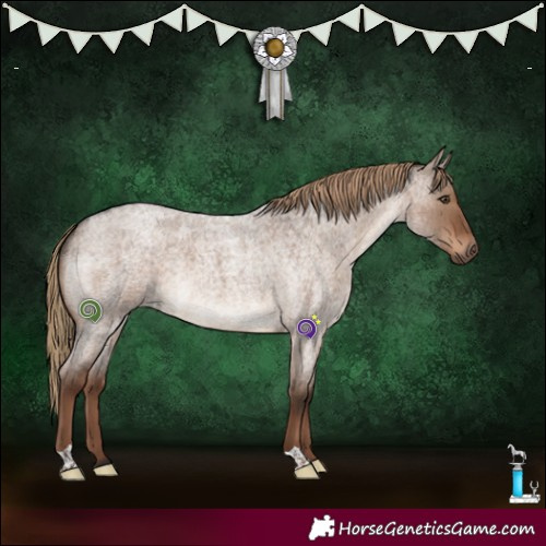 Horse Color:Liver Red Dun Roan Brindle