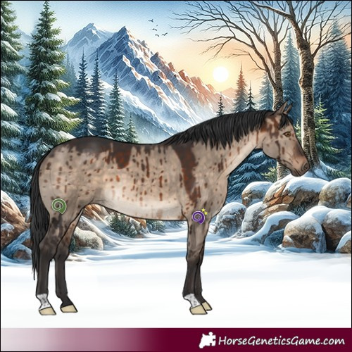 Horse Color:Brown Dun Brindle