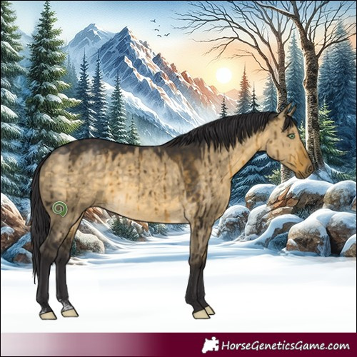 Horse Color:Buckskin Dun Brindle 