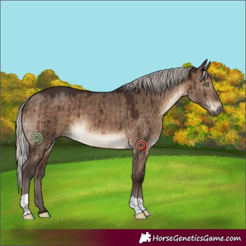 Horse Color:Silver Brown Dun Brindle 