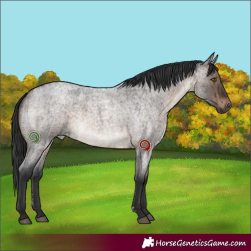 Horse Color:Brown Roan Dun Sabino Brindle