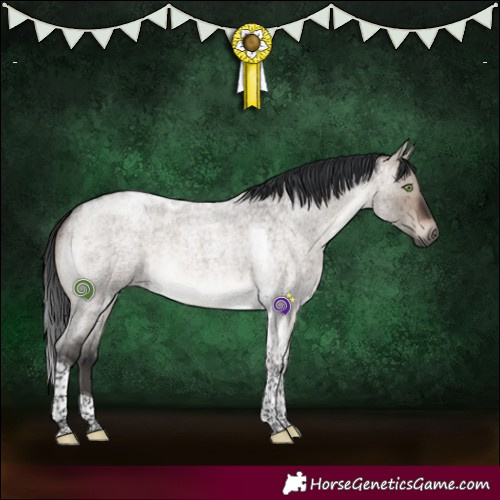 Horse Color:Brown Roan Dun Mushroom Tobiano Brindle