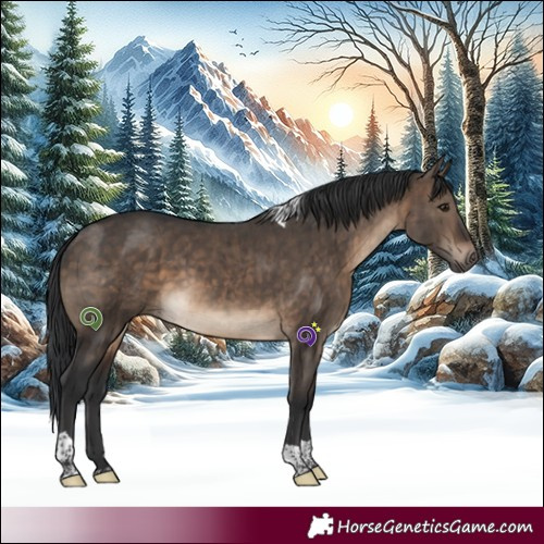 Horse Color:Brown Dun Tobiano Brindle 