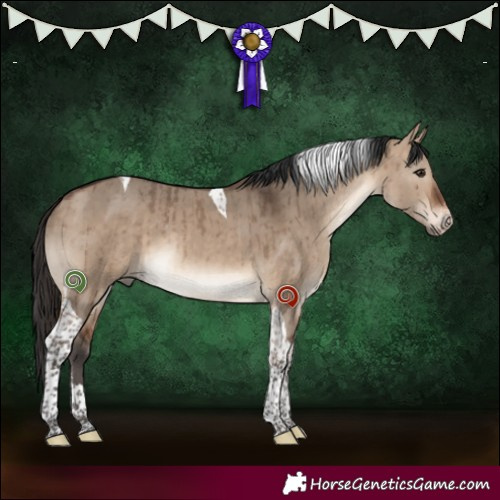 Horse Color:Bay Dun Sabino Tobiano Brindle 