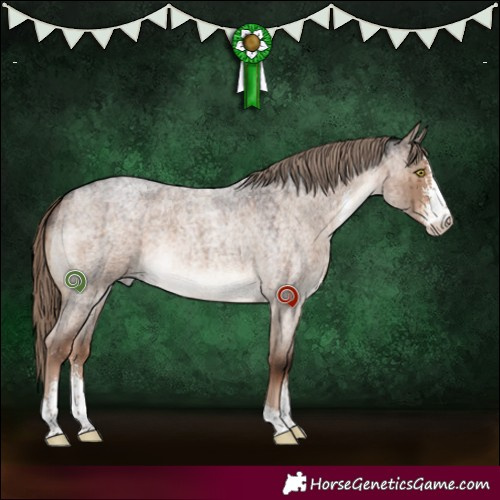 Horse Color:Liver Red Dun Roan Sabino Brindle