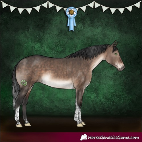 Horse Color:Brown Dun Mushroom Tobiano Brindle 