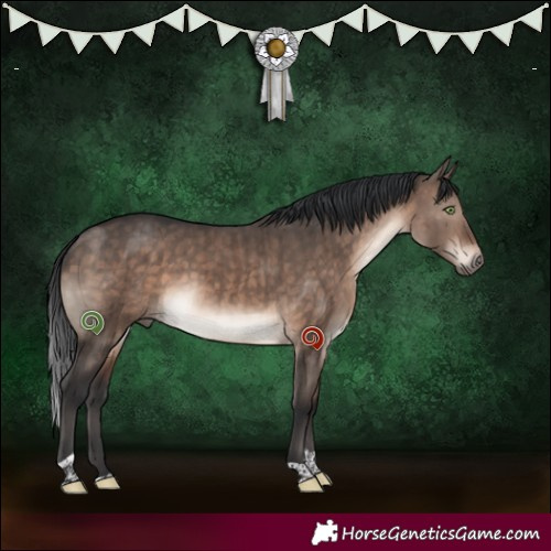 Horse Color:Brown Dun Mushroom Sabino Tobiano Brindle