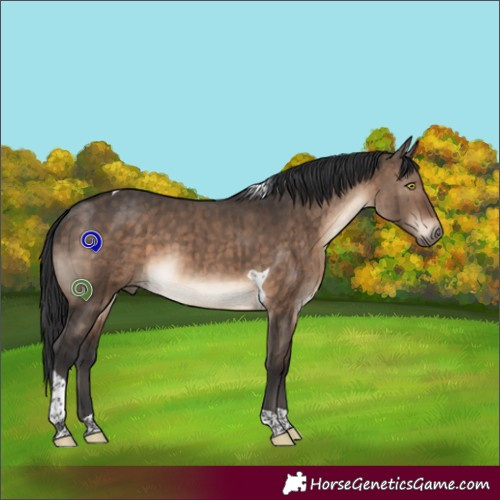 Horse Color:Brown Dun Tobiano Brindle 
