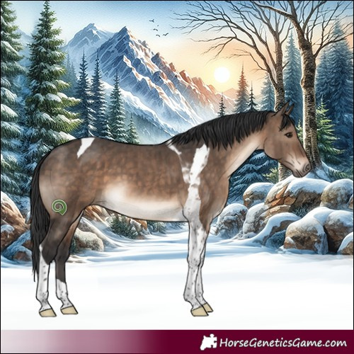 Horse Color:Brown Dun Tobiano Brindle 