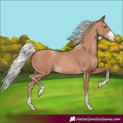 Horse Color:Silver Sable Champagne 
