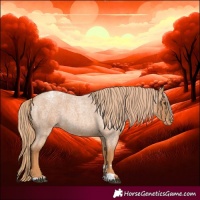 Horse Color:Red Roan Appaloosa 