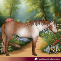 Horse Color:Gray Chestnut 
