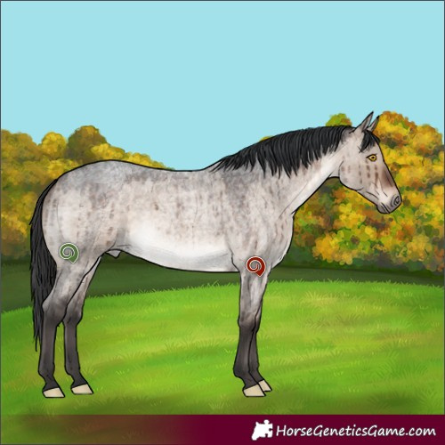 Horse Color:Brown Roan Dun Mushroom Brindle 