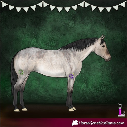 Horse Color:White Spotted Brown Roan Dun 