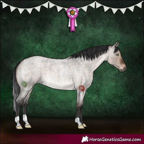 Horse Color:Brown Roan Dun Mushroom Brindle 