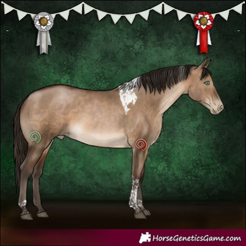 Horse Color:Gray Brown Pearl Dun Mushroom Tobiano