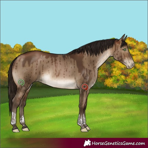 Horse Color:Gray Brown Pearl Dun Tobiano Rabicano Brindle