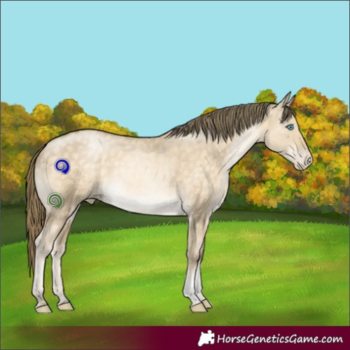 Horse Color:Buckskin Pearl Dun Mushroom Tobiano 