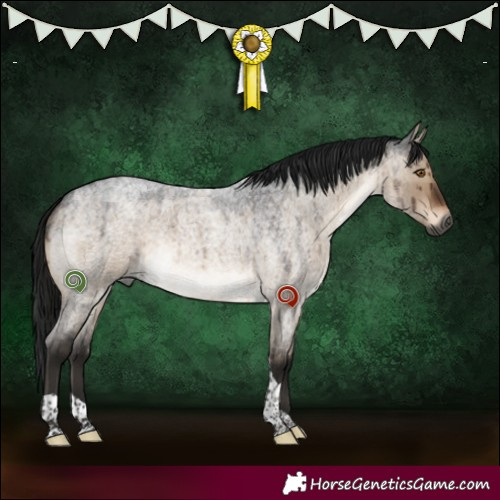 Horse Color:Gray Brown Roan Dun Mushroom Tobiano Rabicano Brindle 