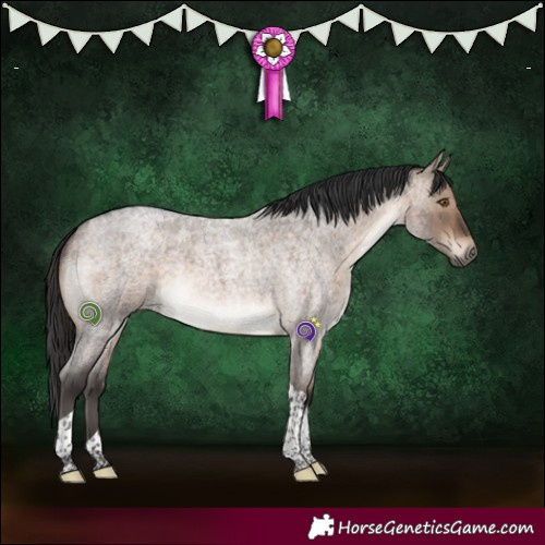 Horse Color:Brown Roan Dun Tobiano Brindle 