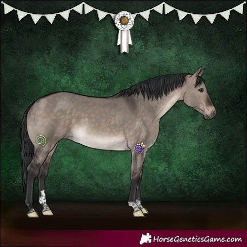 Horse Color:Brown Dun Mushroom Tobiano 