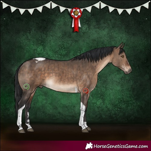 Horse Color:Brown Dun Tobiano Brindle 