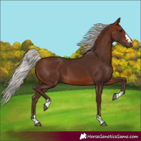 Horse Color:Silver Brown 