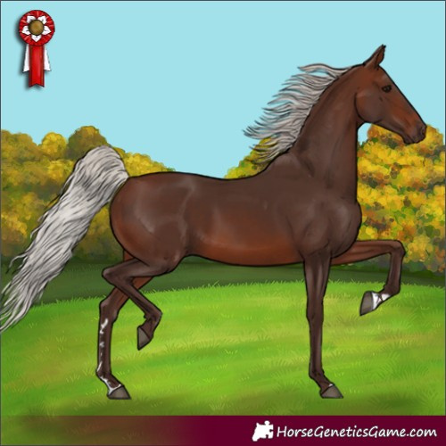 Horse Color:Silver Brown 