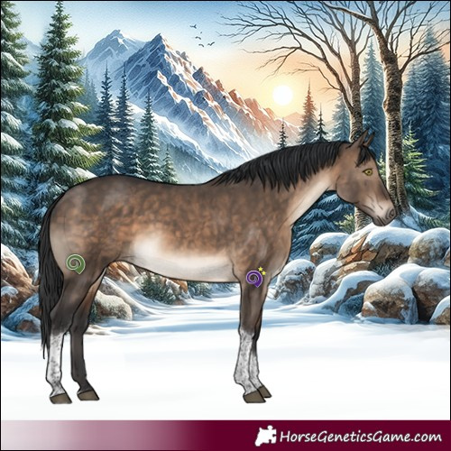 Horse Color:White Spotted Brown Dun Tobiano 