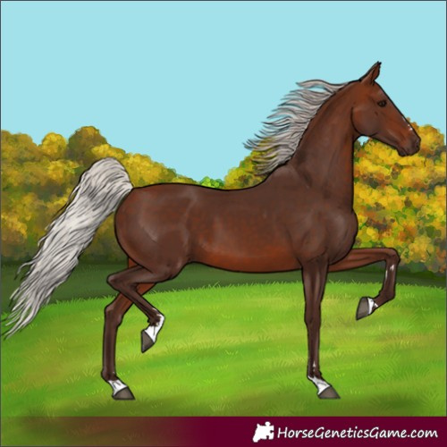 Horse Color:Silver Brown 