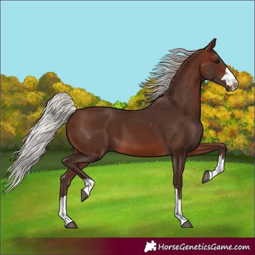 Horse Color:Silver Brown 