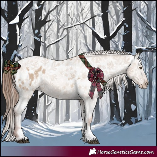 Horse Color:Red Dun Appaloosa  and Red Dun Appaloosa 
