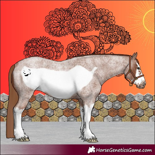 Horse Color:Red Roan Splash Frame Rabicano 