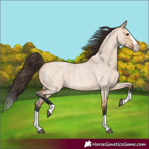 Horse Color:Bay Roan Dun Splash 