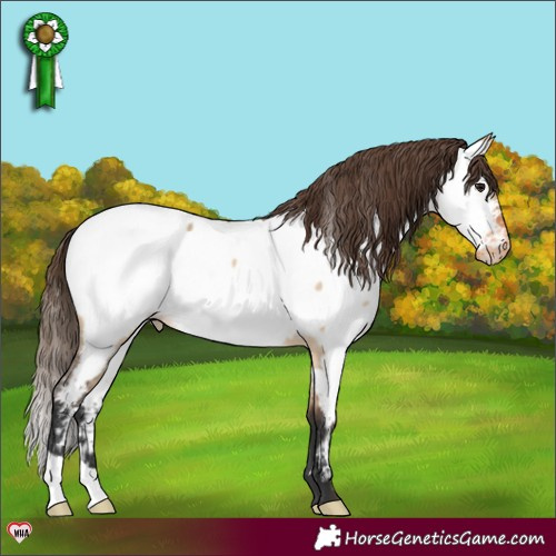 Horse Color:Bay Dun Near Fewspot 