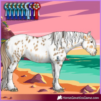 Horse Color:Buckskin Dun Tobiano Leopard Rabicano 