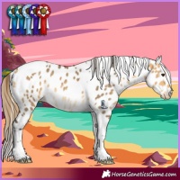 Horse Color:Buckskin Dun Tobiano Appaloosa Rabicano