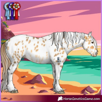 Horse Color:Buckskin Dun Tobiano Appaloosa Rabicano 