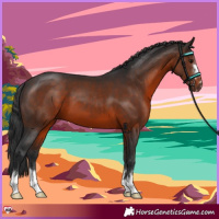 Horse Color:Brown 