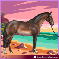 Horse Color:Brown 