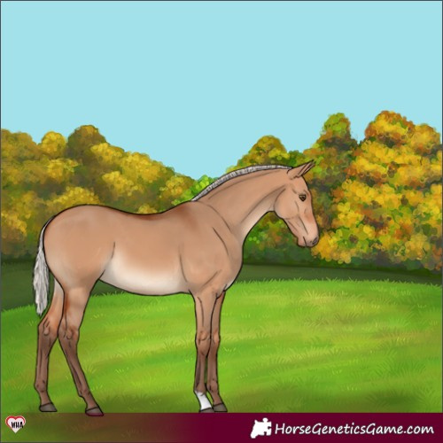 Horse Color:Silver Bay Dun 
