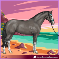Horse Color:Grullo Sabino 