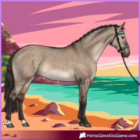 Horse Color:Brown Dun 