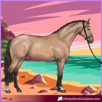 Horse Color:Bay Dun Brindle 