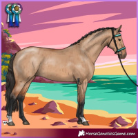 Horse Color:Bay Dun Brindle 