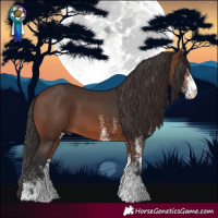 Horse Color:White Spotted Brown